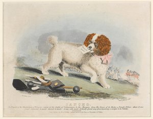 ?Sancho?, Salamancan taistelu, 1812
