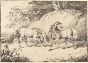 Villit hevoset