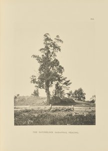 Batchelder Sassafras, Reading