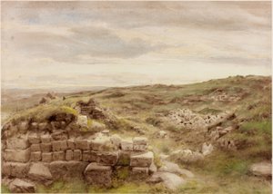 Housesteads (korinvärinen) tekijältä Henry Burdon Richardson