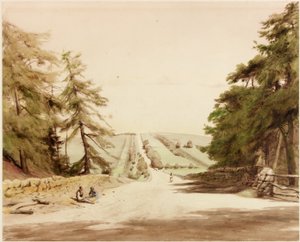 Tower - Taye (vartalon väri) tekijältä Henry Burdon Richardson