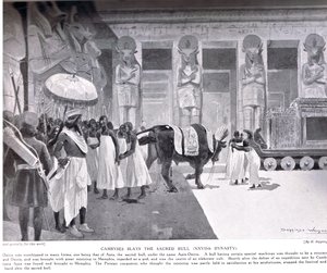 Cambyses surmaa pyhän härän, kuva Hutchinsons History of the Nations -teoksesta, n. 1910 tekijältä Henry Charles Seppings Wright