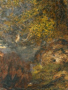 "Katujan visio: Pöllö", 1848-1912