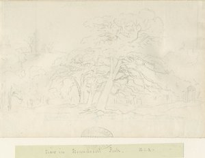 Beaudesert Park: lyijykynäpiirros, nd [1788-1855]