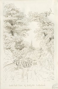 Lichfield Cathedral - Kaakkoisnäkymä (kaukainen): kynäpiirros, nd [19th Century] (piirustus)