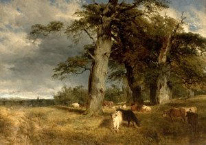Maisema Dukeriesissa, Nottinghamshire, 1850