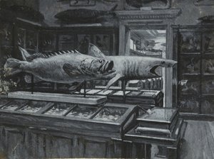 Sisäkuva British Museumista, jossa näkyy galleria kalanäyttelyistä, n. 1880 (pesu ja vartaloväri paperilla) tekijältä Henry Edward Tidmarsh