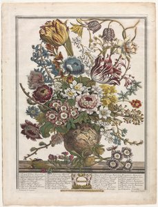 12 kuukautta kukkia: maaliskuu 1730.