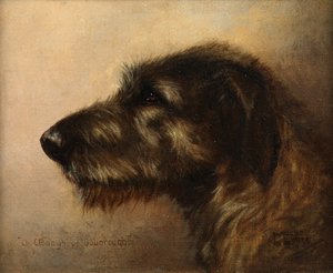 Ouboroughin mestari Clodagh, irlanninsusikoira tekijältä Henry Frederick Lucas Lucas