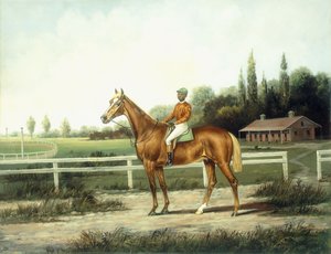 Kastanjakilpahevonen Jockeyn kanssa harjoitusradalla, jonka takana on talli,