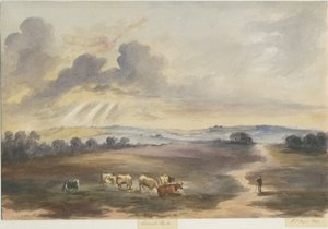 Cannock Chase - "Heath": akvarellimaalaus, 1844
