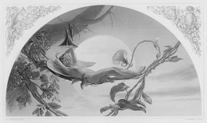 Ariel, kuvasta Royal Collectionissa (kaiverrus)