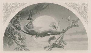 Ariel, myrsky