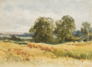Harvest field, c.1910 (watercolor on paper)   1406892   fi       finnish Successfully Translated  Original: Mariano Ceballos doodt een stier Madriano Ceballos, alias El Indio, mata el toro desde su caballo La Tauromaquia (series title) Stierenvechten (seri