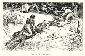 Cayman-saarten kaappaus (kaiverrus) tekijältä Henry Justice Ford