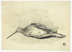 Dead Grouse