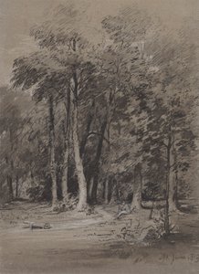 Metsäinen rata tekijältä Henry Monro
