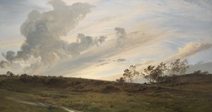 Villi ilta sateen jälkeen, Yorkshire tekijältä Henry Moore