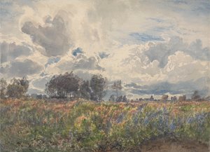 Sadekuuroja kesäkuussa, Picardie tekijältä Henry Moore
