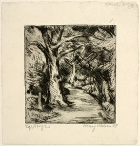 Metsätie. Riiin metsä tekijältä Henry Nielsen
