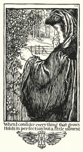 Shakespearen sonetit, Sonetti XV (litho)