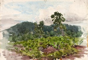 Highlands, N.C. tekijältä Henry Ossawa Tanner