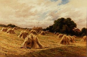 Surrey Cornfield lähellä Reigatea