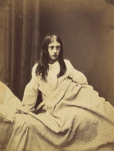 Pelko, n. 1860.