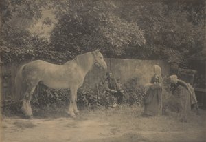 [Old Dapple] tekijältä Henry Peach Robinson