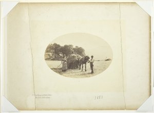 Cader-Idriksen rinteillä, Viimeinen heinäkuorma tekijältä Henry Peach Robinson