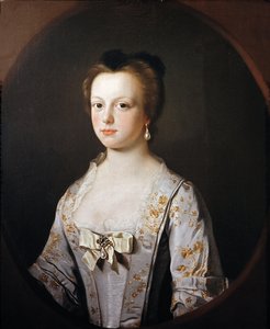 Roosilia Drake (öljy kankaalle) tekijältä Henry Pickering