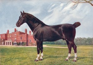 Hackney-ori Danegelt, c1905 c1910 tekijältä Henry Powell Palfrey