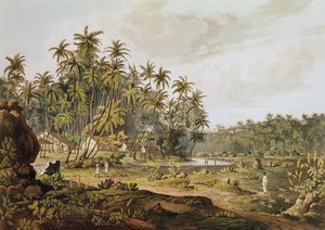 Näkymä lähellä Point du Gallea, Ceylon, kaivertanut Daniel Havell (1785-1826), julkaistu vuonna 1809 tekijältä Henry Salt