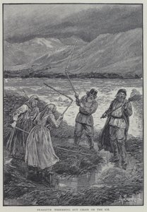 Talonpojat puimaan viljaa jäällä (litho) tekijältä Henry Sandham