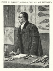 Professori (kaiverrus)