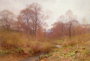 Metsäinen joki, maisema syksy (akvarelli)