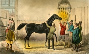 Baron vills Wet, 1838 tekijältä Henry Thomas Alken
