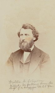 Carte-de-visit-muotokuva Walter W. Johnsonista, 1868.