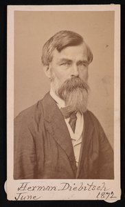 Herman Henry Diebitschin muotokuva 1818-1883, 1871.