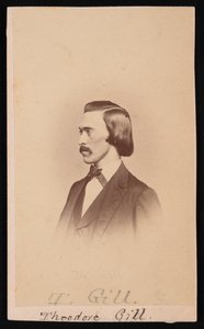 Theodore Nicholas Gillin muotokuva 1837-1914, 1865-1870. tekijältä Henry Ulke