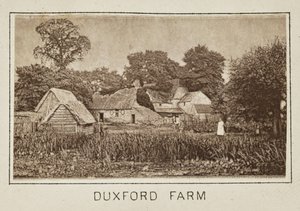 Duxfordin maatila