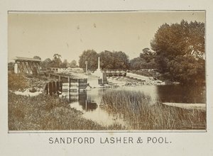 Sandford Lasher  Pool