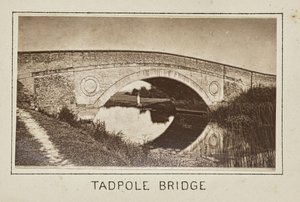 Tadpole silta tekijältä Henry W. Taunt