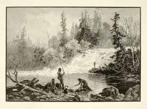 Taimenallas Nepignonissa tekijältä Henry Wolf