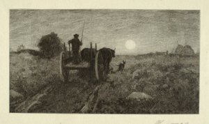Kotiinpäin tekijältä Henry Wolf