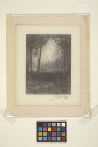 In The Adirondacks (muste) tekijältä Henry Wolf
