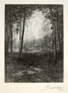 Adirondacksissa tekijältä Henry Wolf