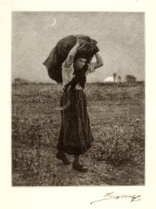 Le Soir tekijältä Henry Wolf