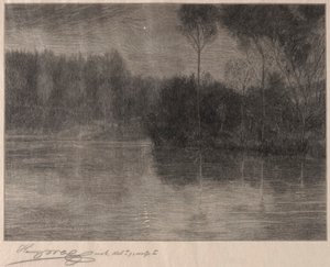Aamutähti. tekijältä Henry Wolf