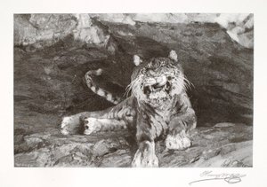 Tiikeri tekijältä Henry Wolf